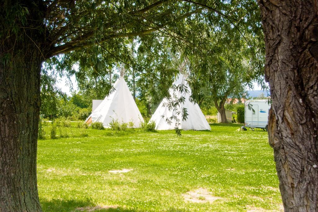 Storchencamp Gaestehaus Purbach Пурбах-ам-Нойзидлер-Зе Экстерьер фото
